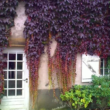 Bed & Breakfast D'hotes Avec Salle D'eau Privee Dans Un Prieure Historique - Fr-1-589-737 Aydoilles