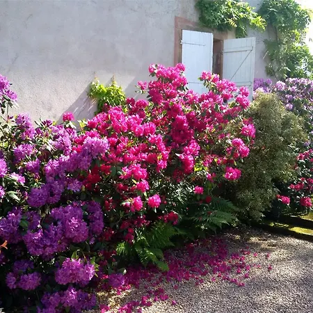 Bed & Breakfast D'hotes Avec Salle D'eau Privee Dans Un Prieure Historique - Fr-1-589-737 Aydoilles